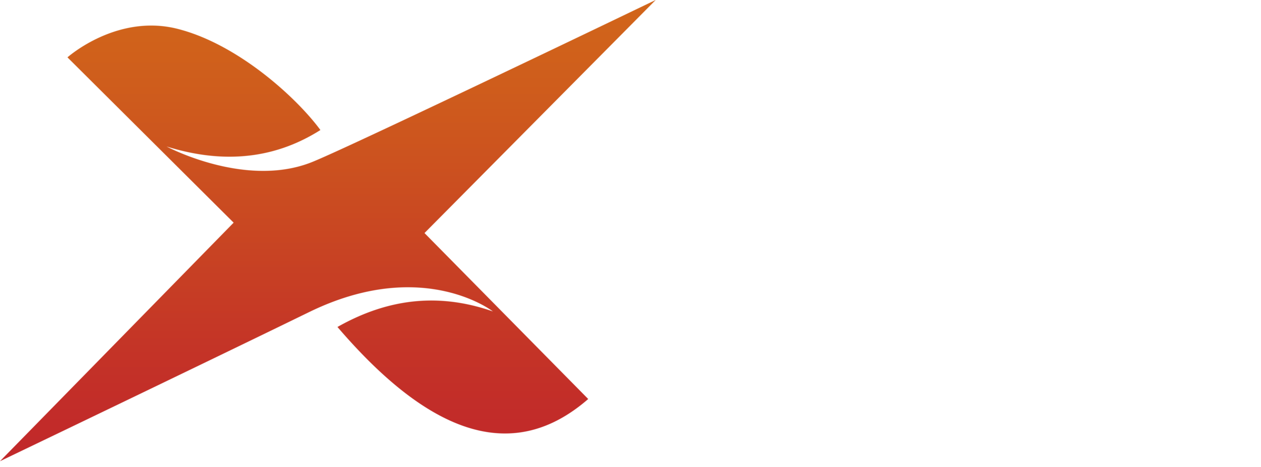 Xforbit – Custom Software & Business Solutions